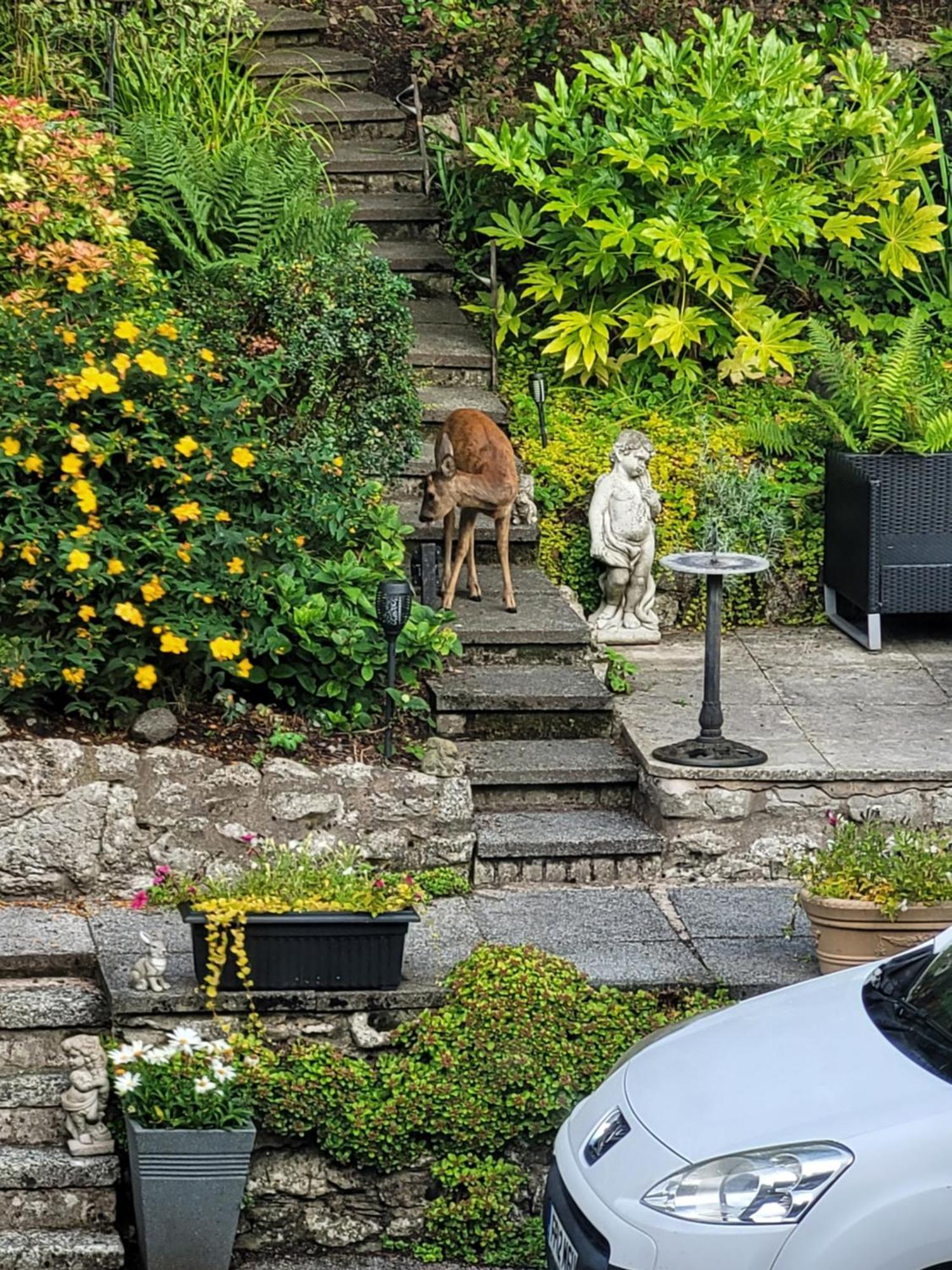 Elton Guest House Grange-over-Sands Extérieur photo
